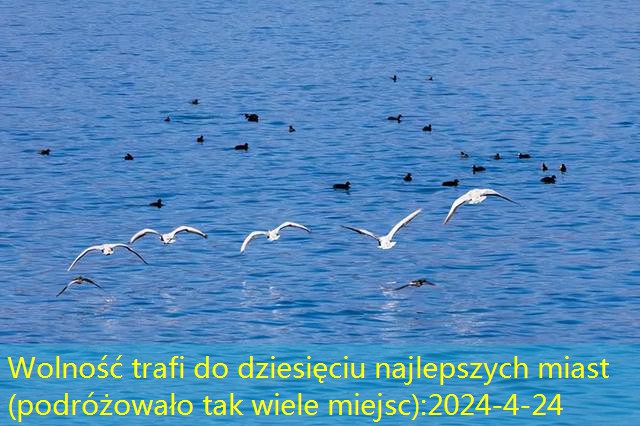 Podróżowanie swobodnie, aby udać się do dziesięciu najlepszych miast (podróż tak wiele miejsc) (17)