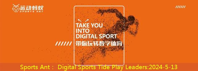 Sports Ant： Digital Sports Tide Play Leaders