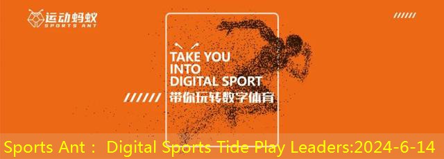 Sports Ant： Digital Sports Tide Play Leaders